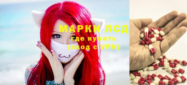 твердый Новозыбков