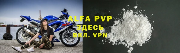 твердый Новозыбков