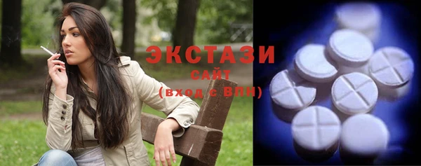 твердый Новозыбков