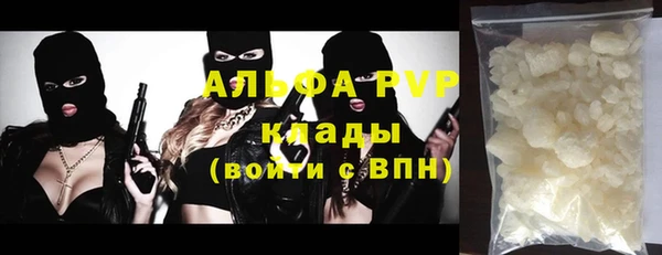 твердый Новозыбков