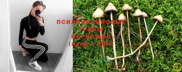 mix Нязепетровск