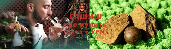 твердый Новозыбков
