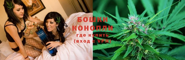 твердый Новозыбков